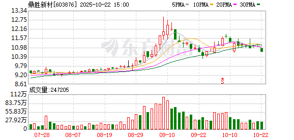 恒瑞易配 鼎胜新材：关于完成工商变更登记的公告