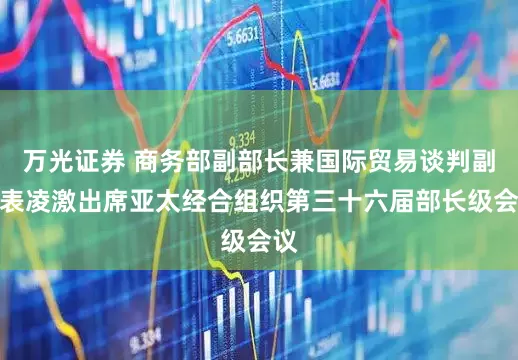 万光证券 商务部副部长兼国际贸易谈判副代表凌激出席亚太经合组织第三十六届部长级会议