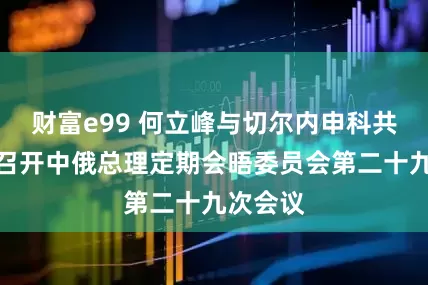 财富e99 何立峰与切尔内申科共同主持召开中俄总理定期会晤委员会第二十九次会议