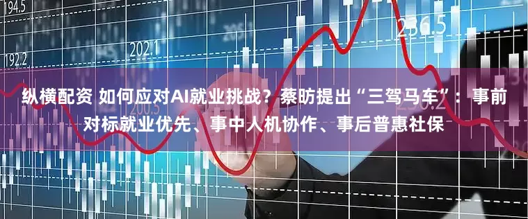 纵横配资 如何应对AI就业挑战？蔡昉提出“三驾马车”：事前对标就业优先、事中人机协作、事后普惠社保