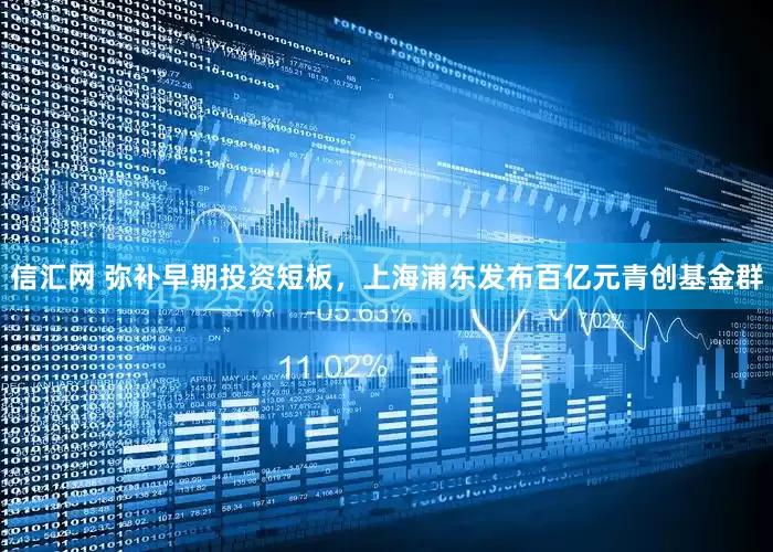 信汇网 弥补早期投资短板，上海浦东发布百亿元青创基金群